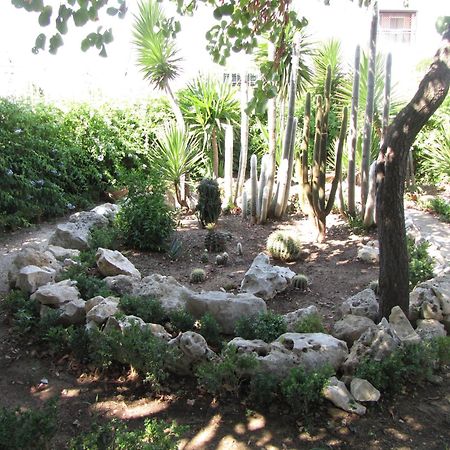 B&B Solacium Matera Ngoại thất bức ảnh