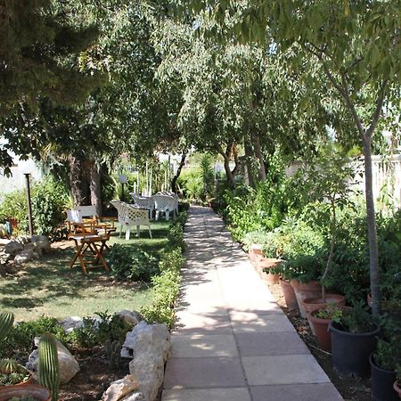 B&B Solacium Matera Ngoại thất bức ảnh