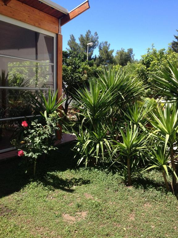 B&B Solacium Matera Ngoại thất bức ảnh